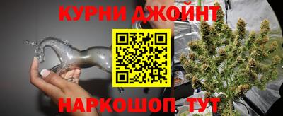 шишки Нарткала